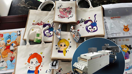 Crie bolsas personalizadas com a impressora Baosiwei DTF